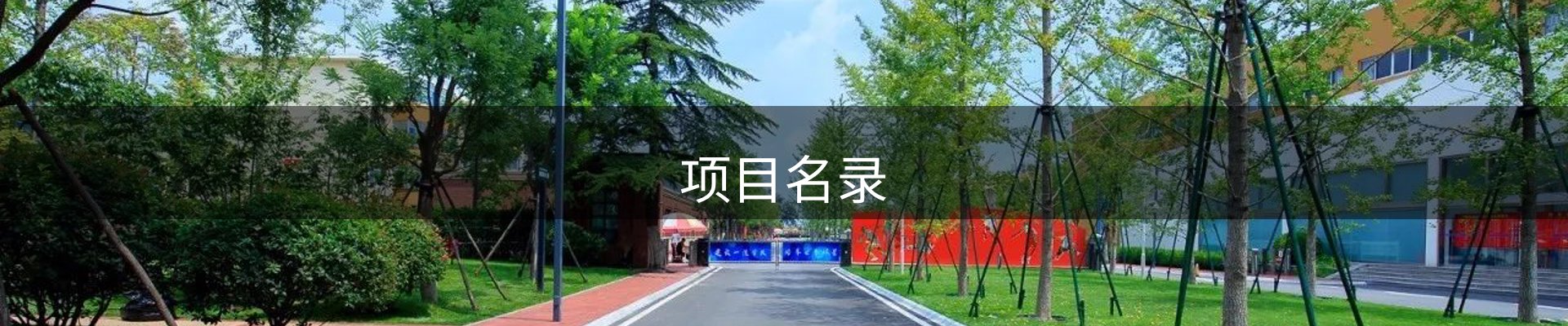项目名录